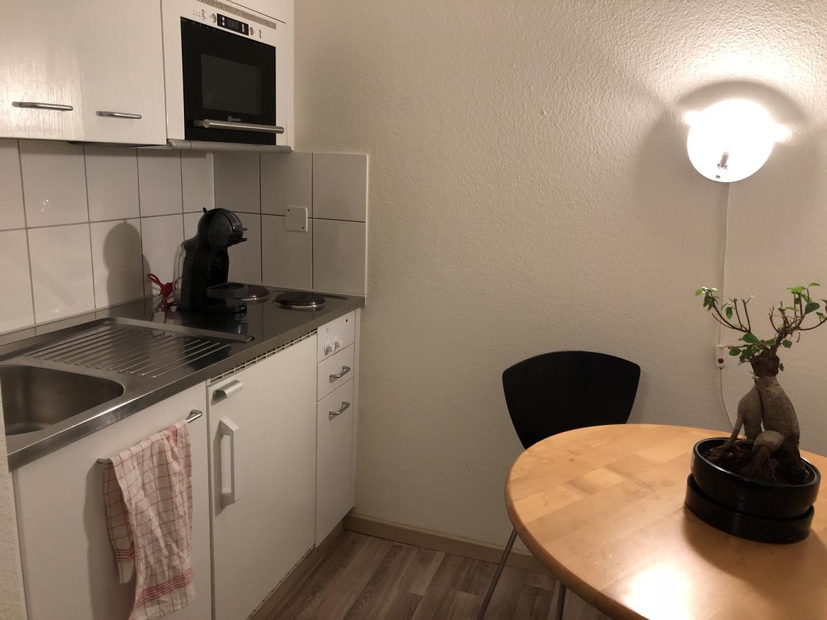 Rosa Apartment Zuerich City Экстерьер фото